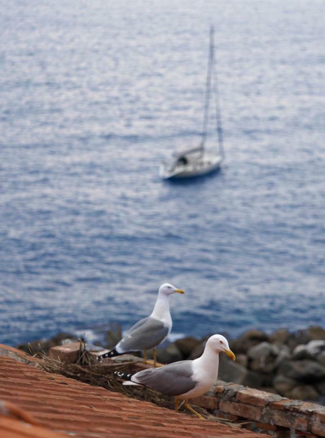Ai Pesci Room Rental Riomaggiore Dış mekan fotoğraf